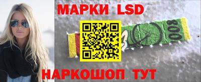 a pvp Камышлов