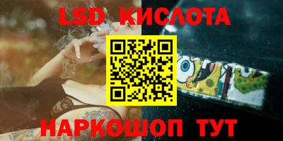 гидра Кандалакша
