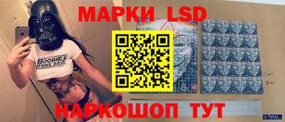 a pvp Камышлов
