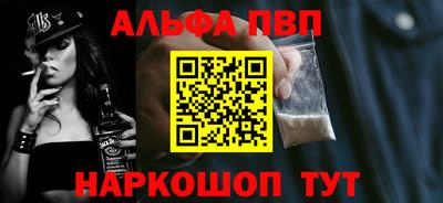 a pvp Камышлов