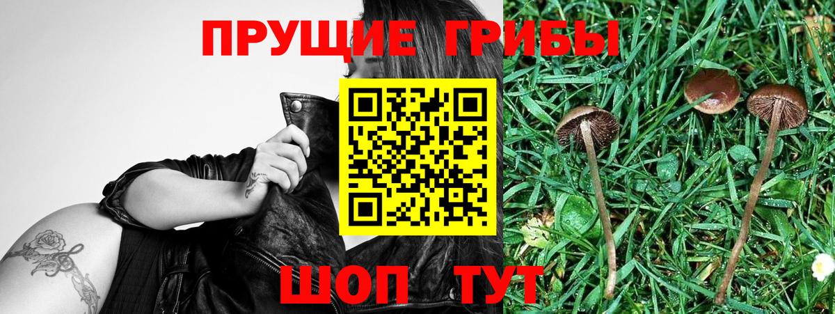Луховицы  Галлюциногенные грибы мицелий  Вход с VPN  Галлюциногенные грибы мицелий 