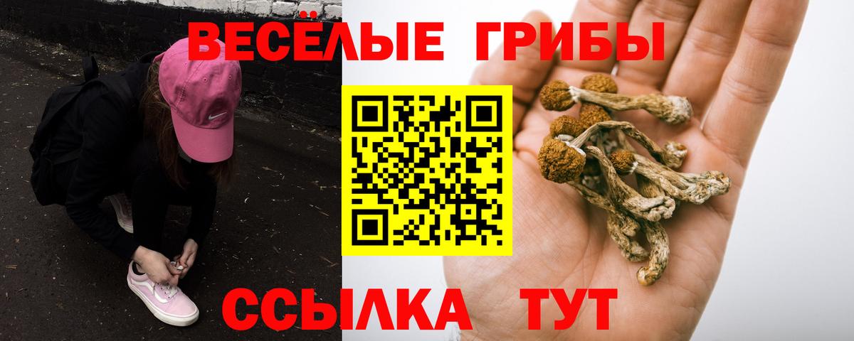 Псилоцибиновые грибы мухоморы Луховицы